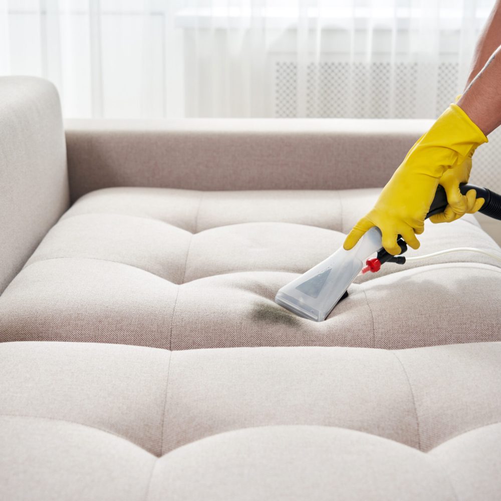 Dry cleaning worker removing dirt from sofa indoors
